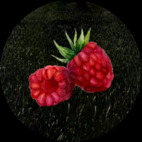 raspberryfarmer